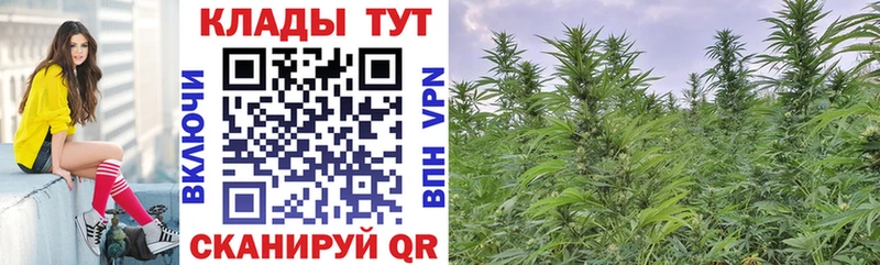 Где продают наркотики Котовск Каннабис  NBOMe  ГАШИШ  Кокаин  СОЛЬ 