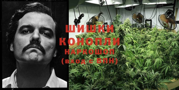 каннабис Беломорск